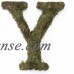Large (15") Moss Monogram, A   555722781